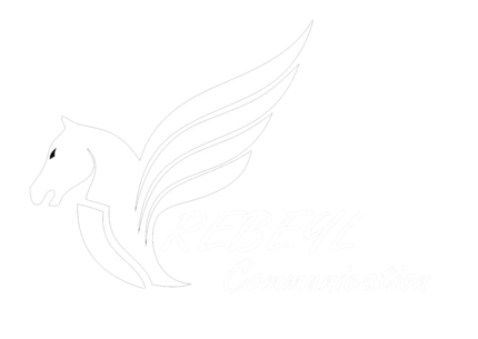 Rebeyl Communication, Webmaster et Community Manager